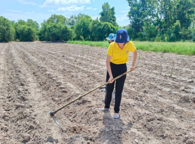 โครงการสหกรณ์อาสาทำความดีด้วยหัวใจสนองพระราชปณิธาน สืบสาน ... พารามิเตอร์รูปภาพ 12